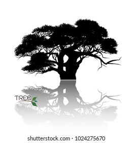 Vector of tree, silhouette icons on white background. tree flat icon for apps and websites. 