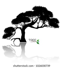 Vector of tree, silhouette icons on white background. tree flat icon for apps and websites. 
