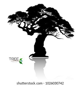 Vector of tree, silhouette icons on white background. tree flat icon for apps and websites. 