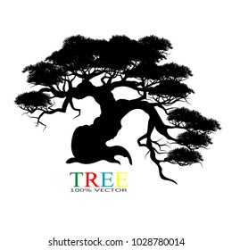 Vector of tree, silhouette icons on white background. tree flat icon for apps and websites. 