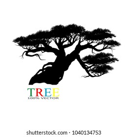 Vector of tree, silhouette icons on white background. tree flat icon for apps and websites. 