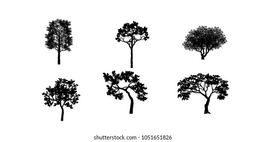 Vector of tree, silhouette icons on white background. tree flat icon for apps and websites. 