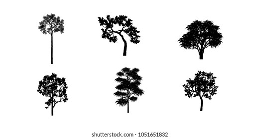 Vector of tree, silhouette icons on white background. tree flat icon for apps and websites. 