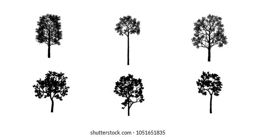 Vector of tree, silhouette icons on white background. tree flat icon for apps and websites. 