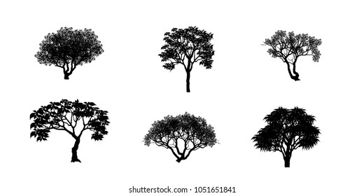 Vector of tree, silhouette icons on white background. tree flat icon for apps and websites. 