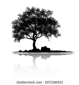 Vector of tree, silhouette icons on white background. tree flat icon for apps and websites. 