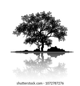 Vector of tree, silhouette icons on white background. tree flat icon for apps and websites. 