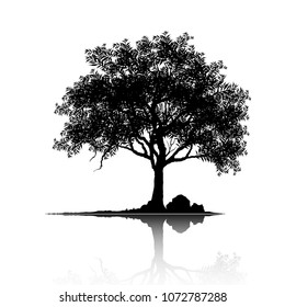 Vector of tree, silhouette icons on white background. tree flat icon for apps and websites. 