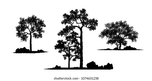 Vector of tree, silhouette icons on white background. tree flat icon for apps and websites. 