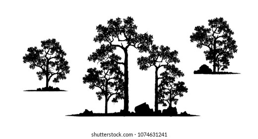 Vector of tree, silhouette icons on white background. tree flat icon for apps and websites. 