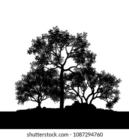 Vector of tree, silhouette icons on white background. tree flat icon for apps and websites. 