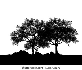 Vector of tree, silhouette icons on white background. tree flat icon for apps and websites. 