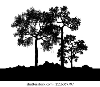 Vector of tree, silhouette icons on white background. tree flat icon for apps and websites. 