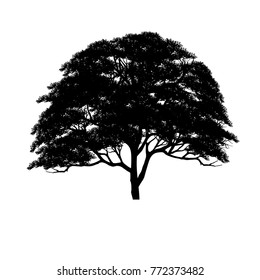 Vector of tree, silhouette icons on white background. 