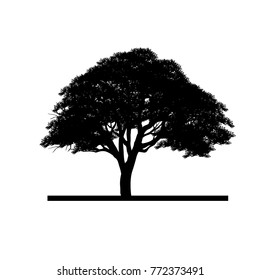 Vector of tree, silhouette icons on white background. 