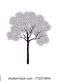 Vector of tree, silhouette icons on white background. 