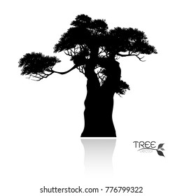 Vector of tree, silhouette icons on white background.