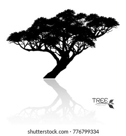 Vector of tree, silhouette icons on white background.