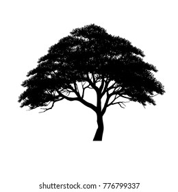 Similar Images, Stock Photos & Vectors of tree silhouette isolated on