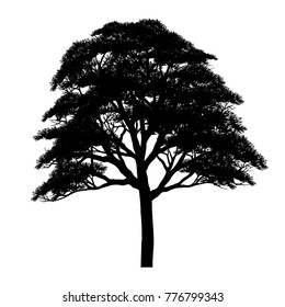 Vector of tree, silhouette icons on white background.