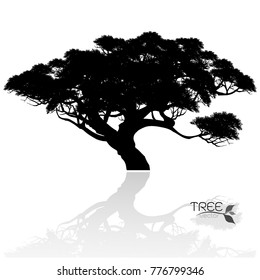 Vector of tree, silhouette icons on white background.