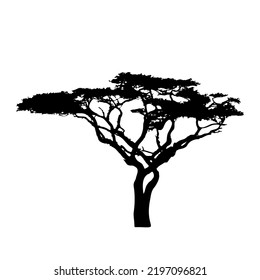 Vector tree silhouette. Oak, dry wood, African wood. Vector isolated background EPS 10.