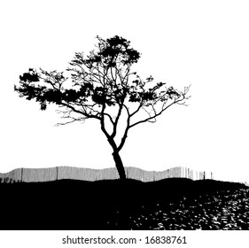 Vector Tree Silhouette Scene