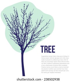 Vector tree  silhouette. Winter tree silhouette isolated on white background, vector