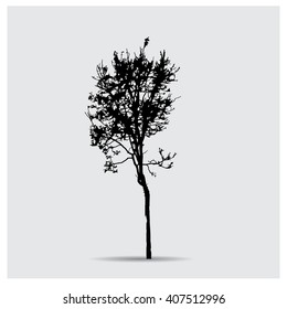 Vector tree silhouettes