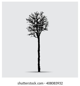Vector tree silhouettes