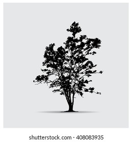 Vector tree silhouettes