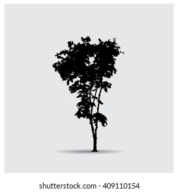 Vector tree silhouettes