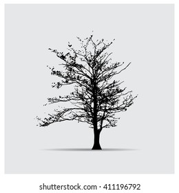 Vector tree silhouettes