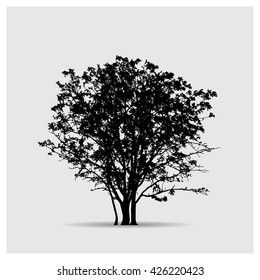 Vector tree silhouettes