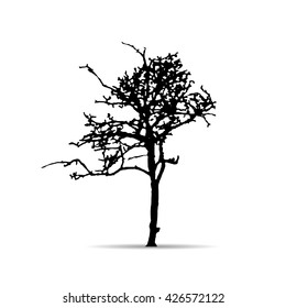 Vector tree silhouettes