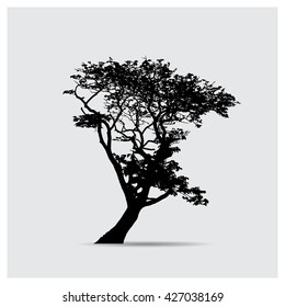 Vector tree silhouettes
