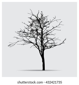 Vector tree silhouettes