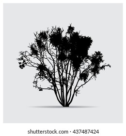 Vector tree silhouettes
