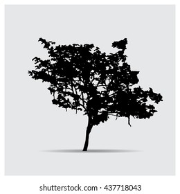 Vector tree silhouettes