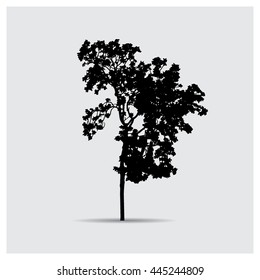 Vector tree silhouettes