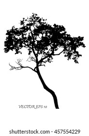 Vector of tree silhouettes