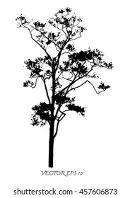 Vector of tree silhouettes