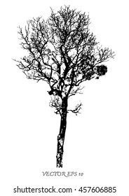 Vector of tree silhouettes