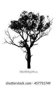 Vector of tree silhouettes