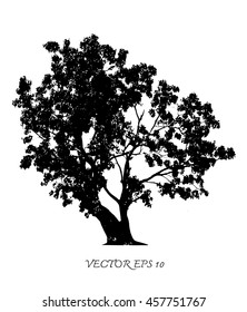 Vector of tree silhouettes