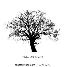 Vector of tree silhouettes