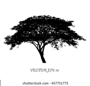 Vector of tree silhouettes