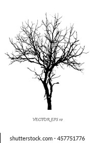 Vector of tree silhouettes