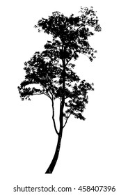 Vector of tree silhouettes