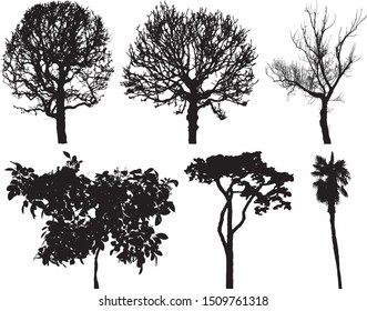 Vector tree silhouettes set isolated on white. Botanic illustration.                           